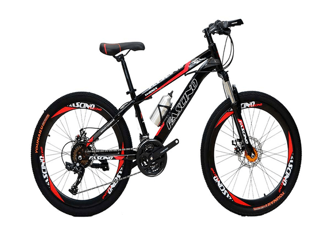 Xe đạp địa hình MTB Fascino W400X